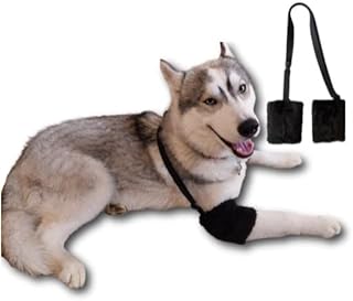 Best elbow pad for dogs