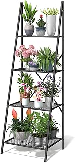 Best ladder stand for plants