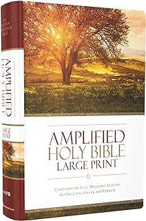 Best amplified bibles