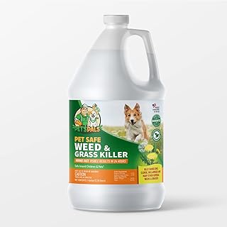 Best natural weed killers