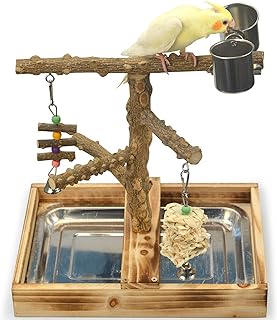 Best play stand for cockatiels