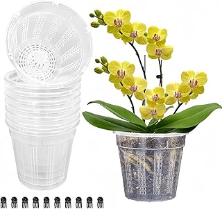 Best plastic pot for orchids