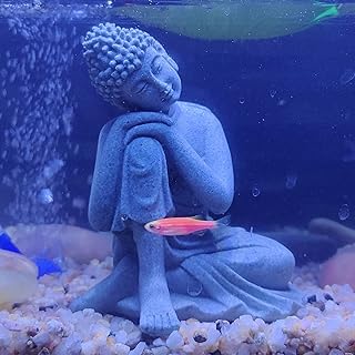 Best buddha statue for fish tank